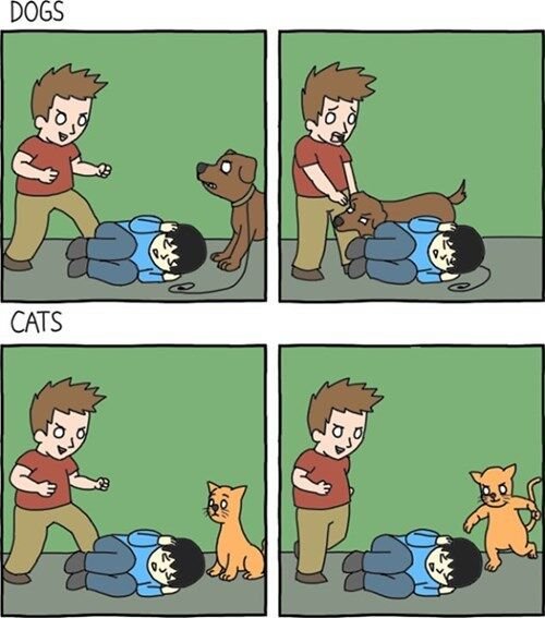The Definitive Dogs vs. Cats.jpg