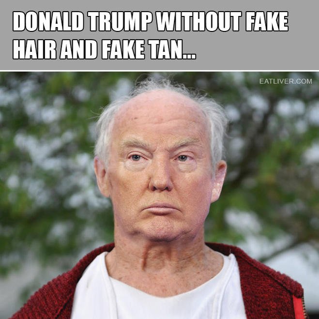 fake-trump.jpg