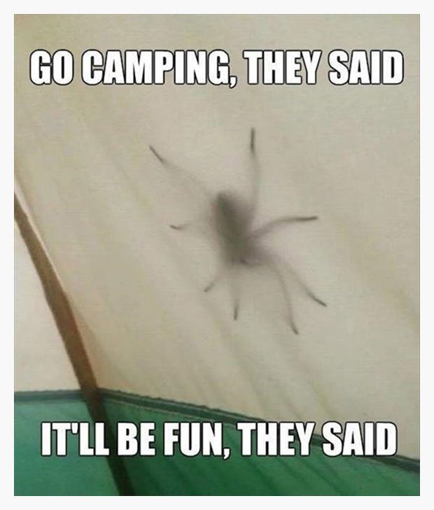 CampingIsFun.jpg