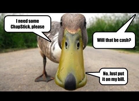 Duck Comedy.. Ba dum bum, psh!.jpg