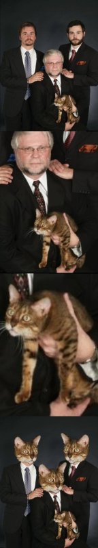 catss.JPG